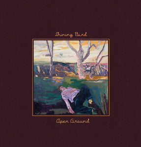 Open Ground LP